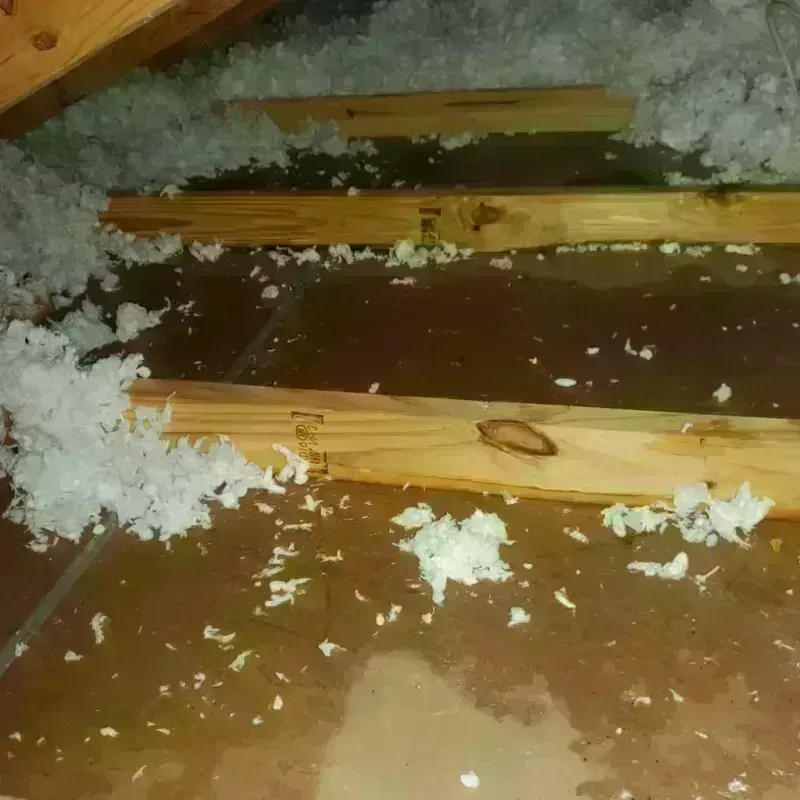 Attic Water Damage in Elm Springs, AR